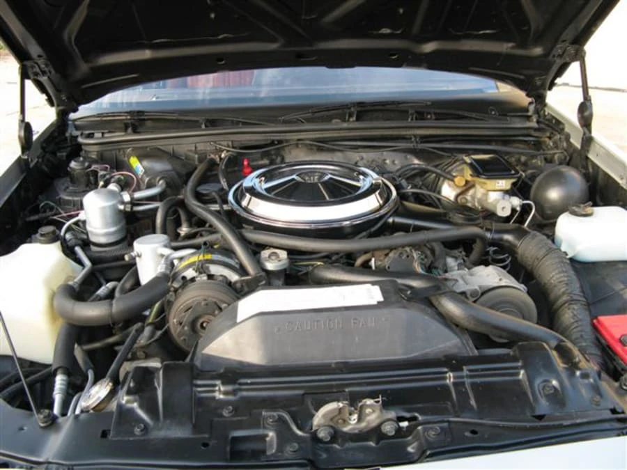 1984 Oldsmobile Hurst/Olds - Image 4 of 7