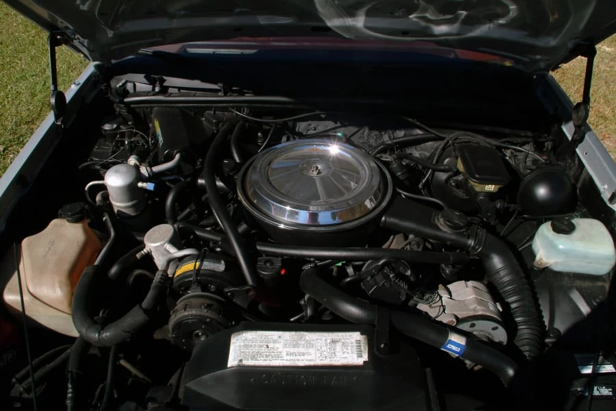 1984 Oldsmobile Hurst/Olds - Image 4 of 7