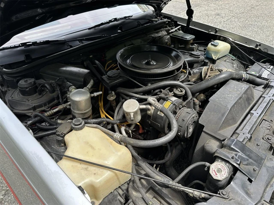1984 Oldsmobile Hurst/Olds - Image 22 of 31