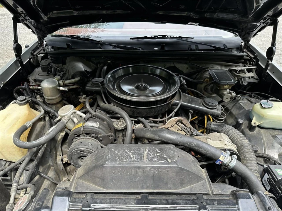 1984 Oldsmobile Hurst/Olds - Image 19 of 31