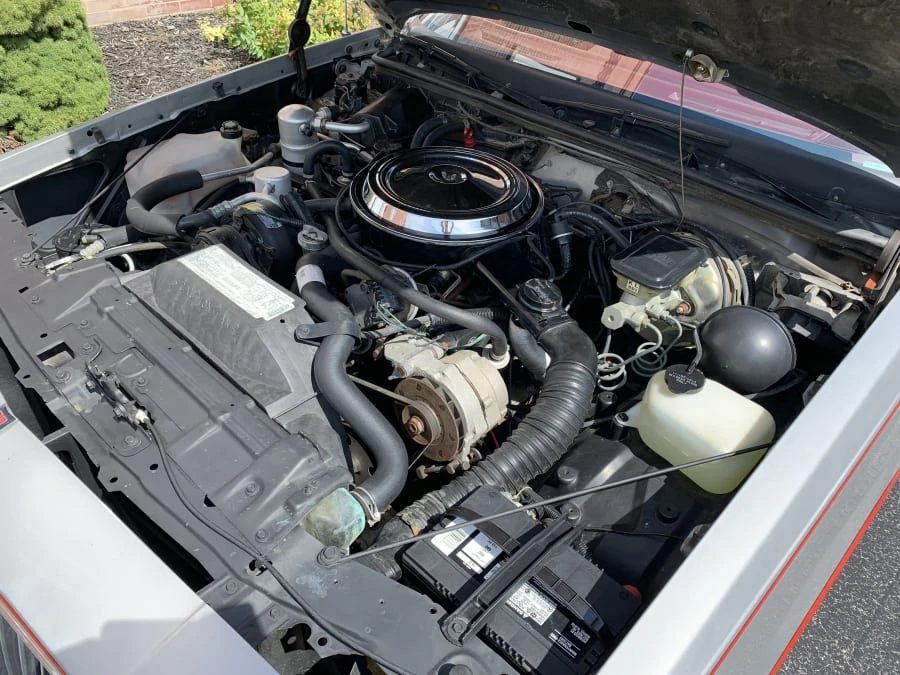 1984 Oldsmobile Hurst/Olds - Image 7 of 11