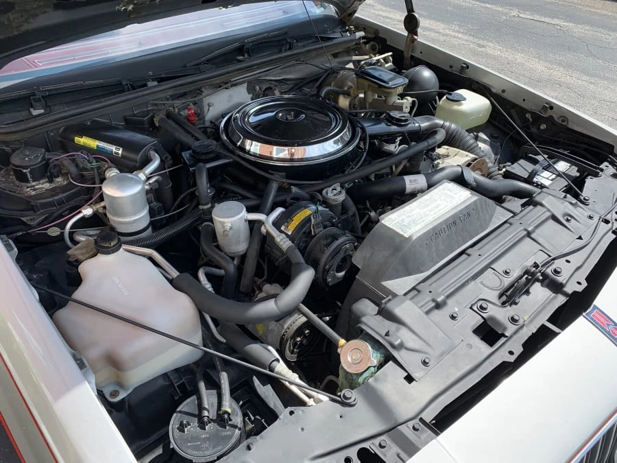 1984 Oldsmobile Hurst/Olds - Image 8 of 11