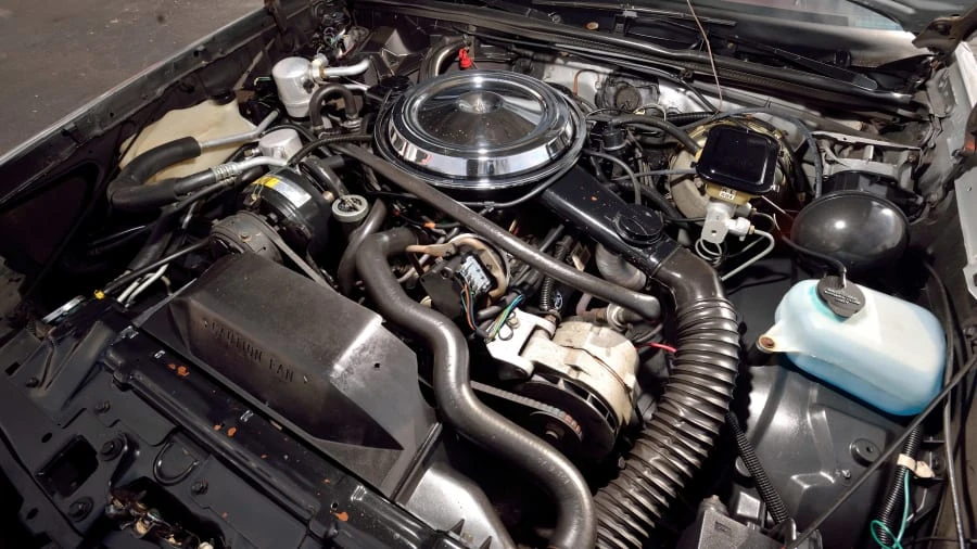 1984 Oldsmobile Hurst/Olds - Image 6 of 20