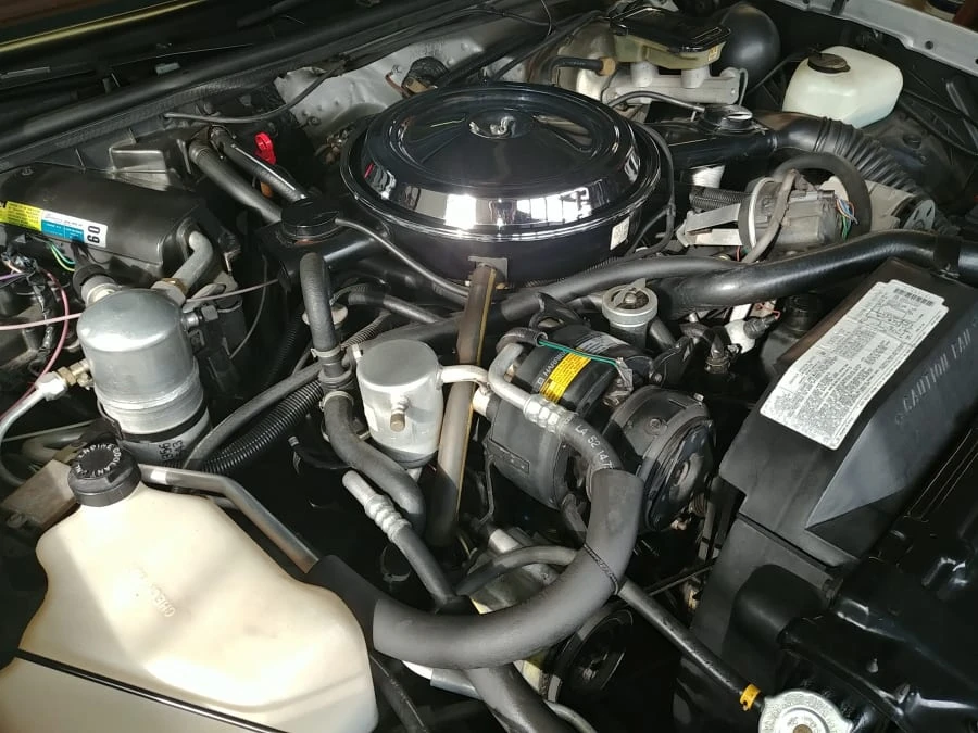 1984 Oldsmobile Hurst/Olds - Image 6 of 10