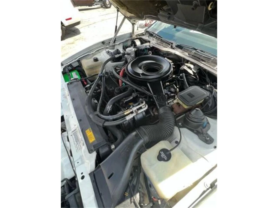 1984 Pontiac Firebird 3rd Gen - Image 24 of 30