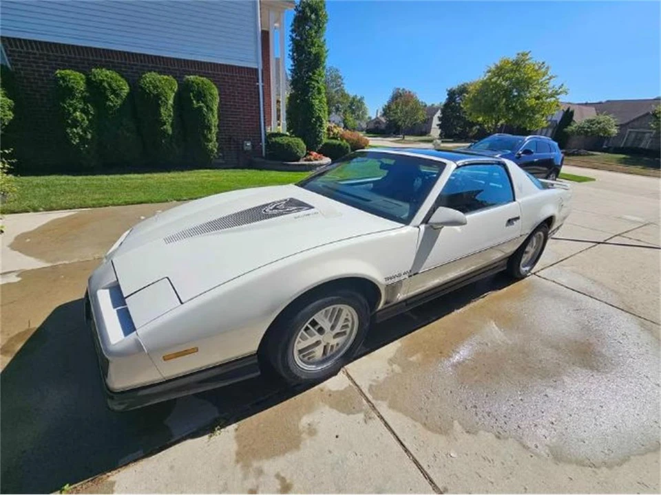 1984 Pontiac Firebird 3rd Gen - Image 19 of 21