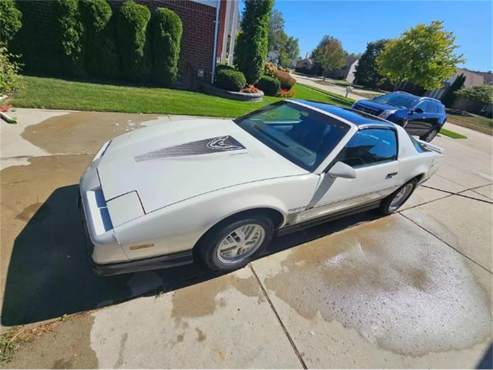 1984 Pontiac Firebird 3rd Gen - Image 20 of 21
