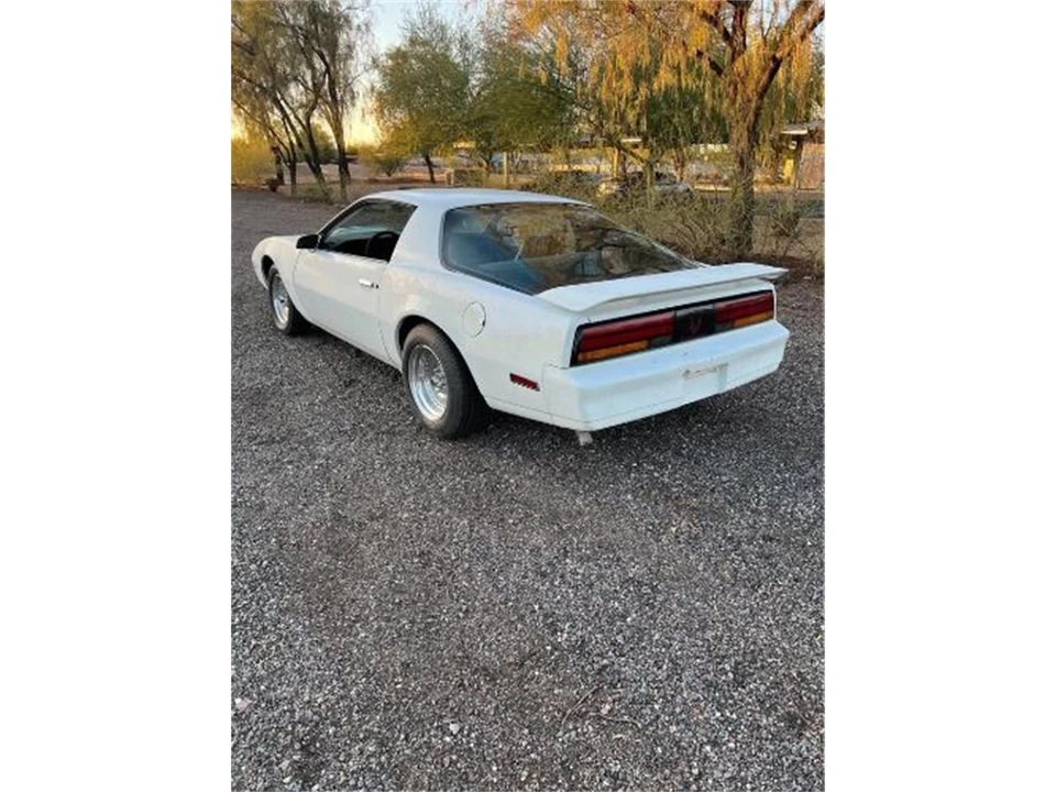 1984 Pontiac Firebird 3rd Gen - Image 6 of 9