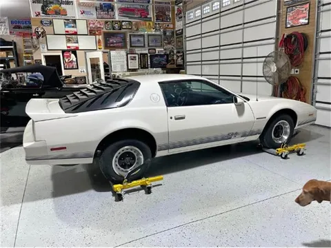 1984 Pontiac Firebird LE
