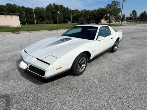 1984 Pontiac Firebird Trans Am