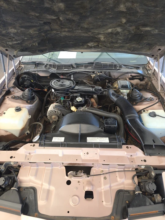 1984 Pontiac Firebird 3rd Gen - Image 14 of 16