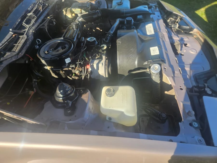 1984 Pontiac Firebird 3rd Gen - Image 11 of 12