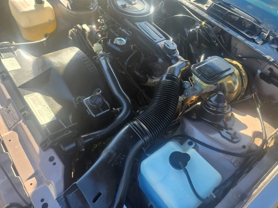 1984 Pontiac Firebird 3rd Gen - Image 12 of 12