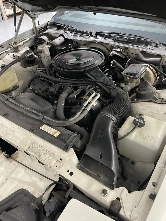1984 Pontiac Firebird 3rd Gen - Image 11 of 11