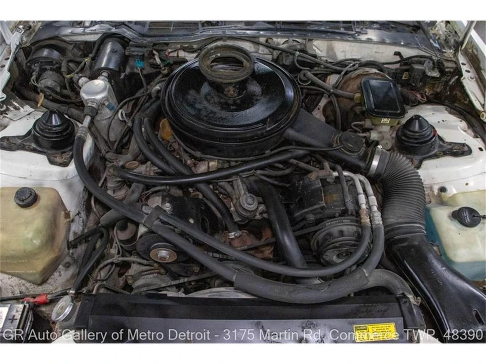 1984 Pontiac Firebird 3rd Gen - Image 19 of 31