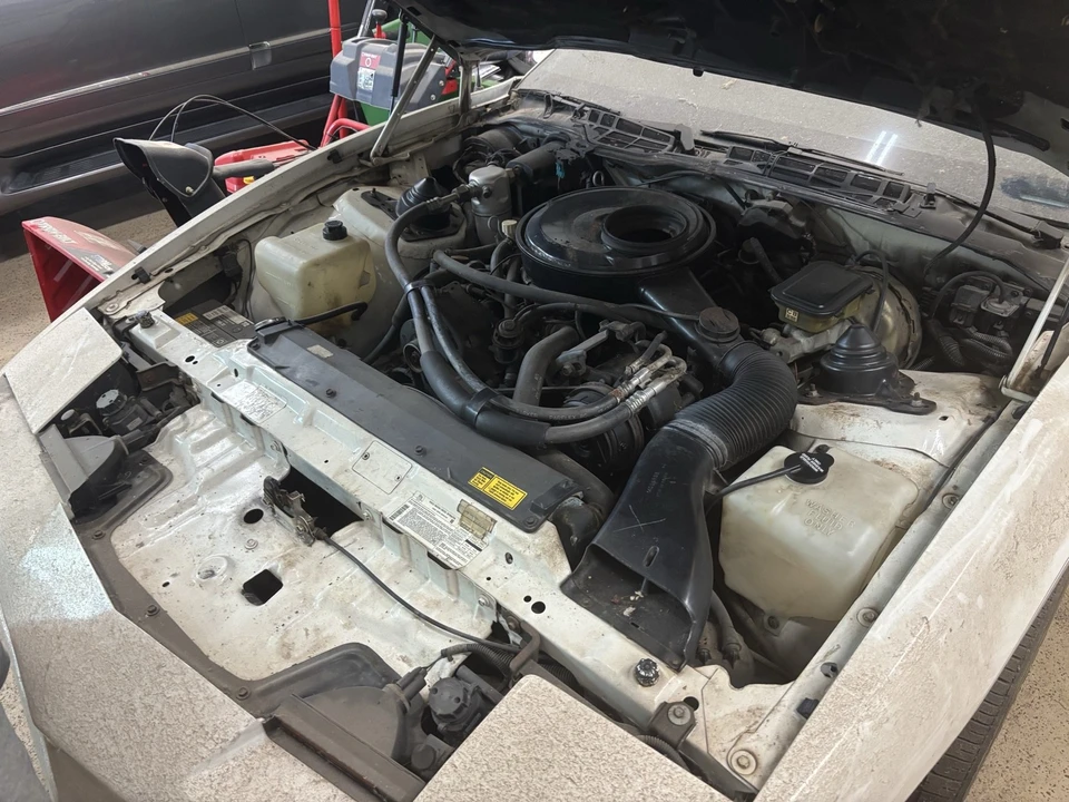 1984 Pontiac Firebird 3rd Gen - Image 12 of 15