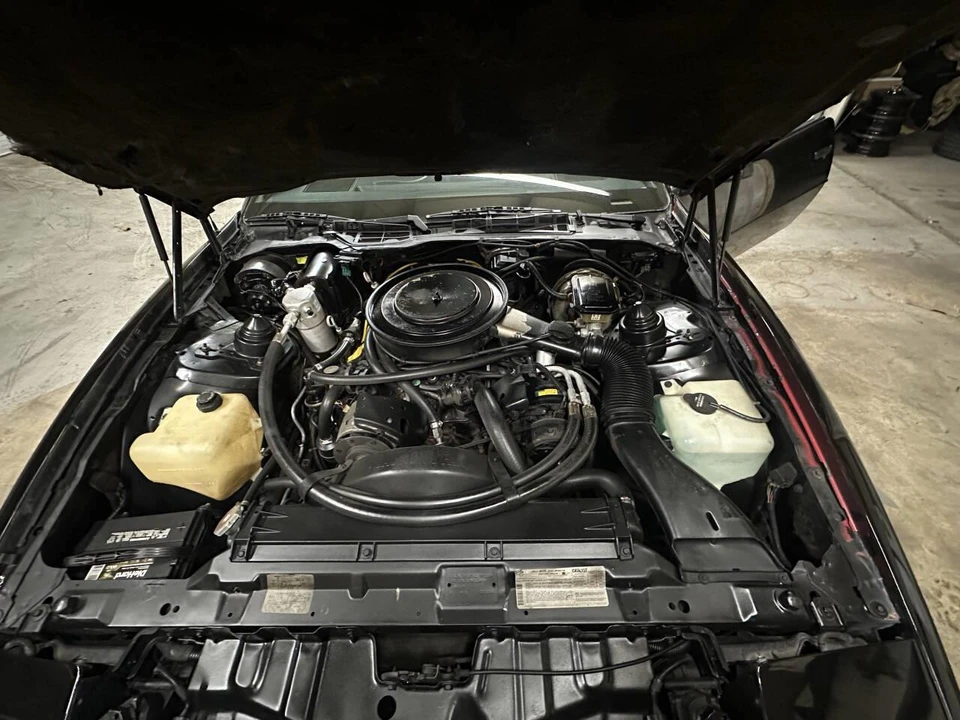 1984 Pontiac Firebird 3rd Gen - Image 16 of 18