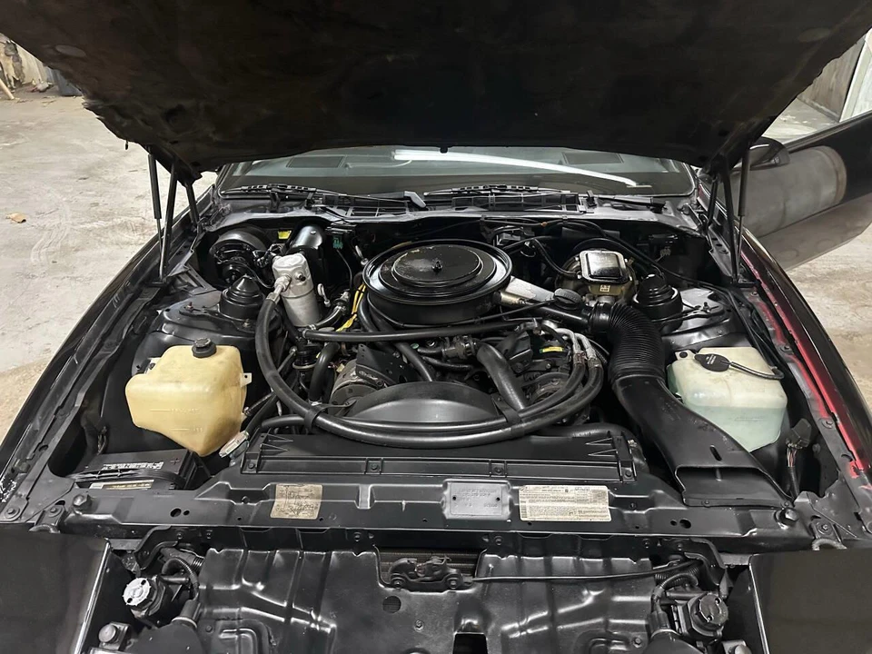 1984 Pontiac Firebird 3rd Gen - Image 17 of 18