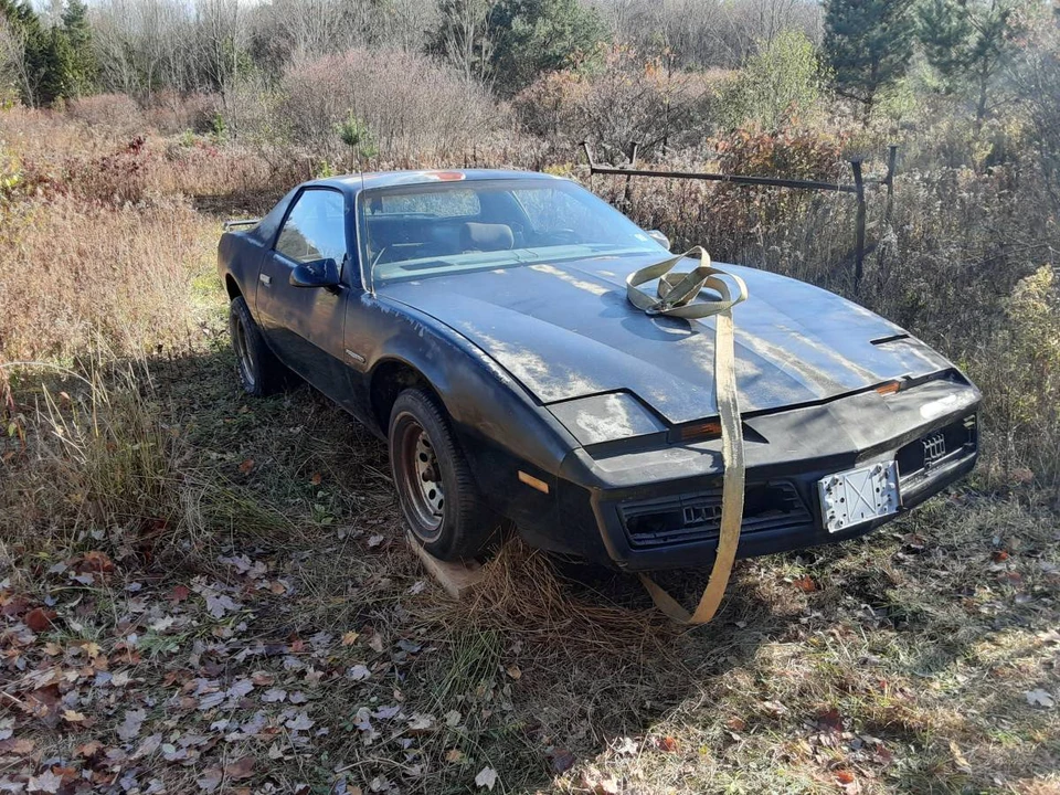 1984 Pontiac Firebird 3rd Gen - Image 2 of 11
