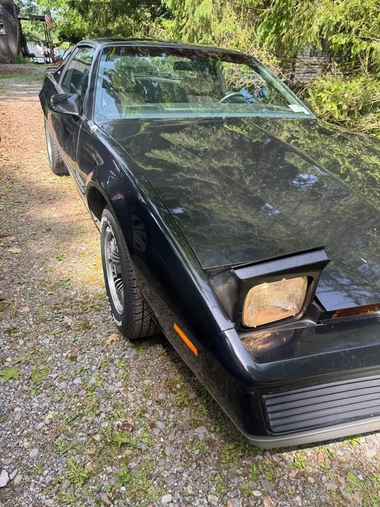 1984 Pontiac Firebird 3rd Gen - Image 6 of 9