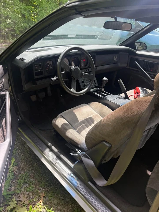 1984 Pontiac Firebird 3rd Gen - Image 2 of 9
