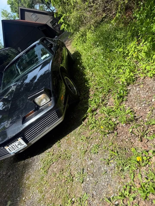 1984 Pontiac Firebird 3rd Gen - Image 5 of 9