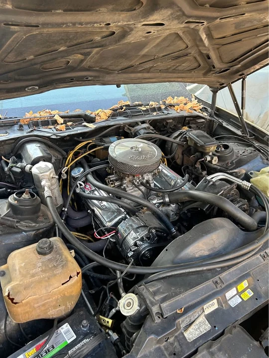 1984 Pontiac Firebird 3rd Gen - Image 2 of 19