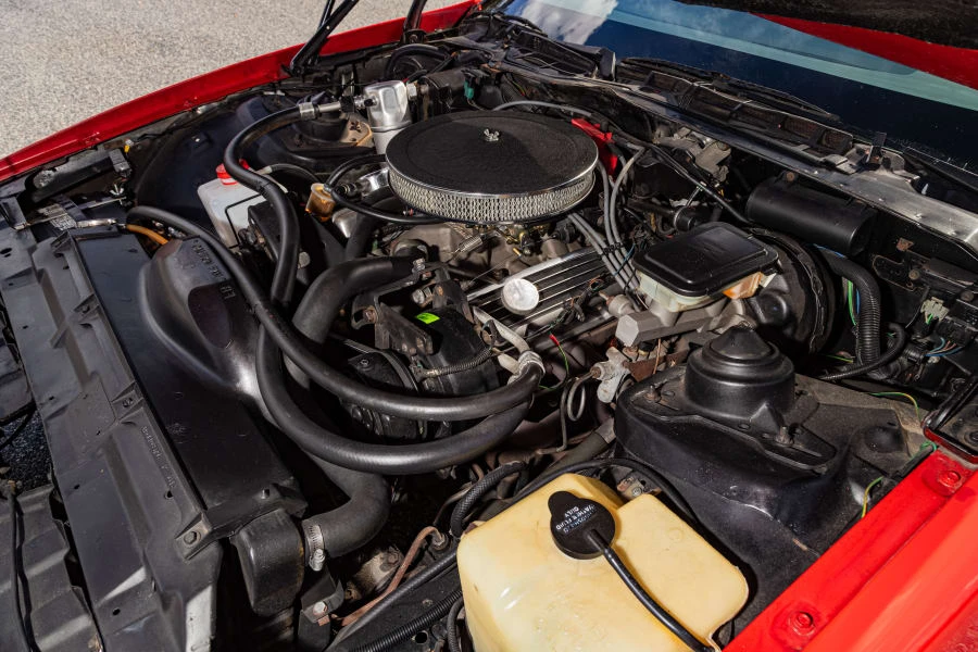 1984 Pontiac Firebird 3rd Gen - Image 31 of 31