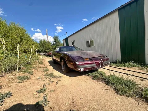 1984 Pontiac Firebird Hatchback 2D