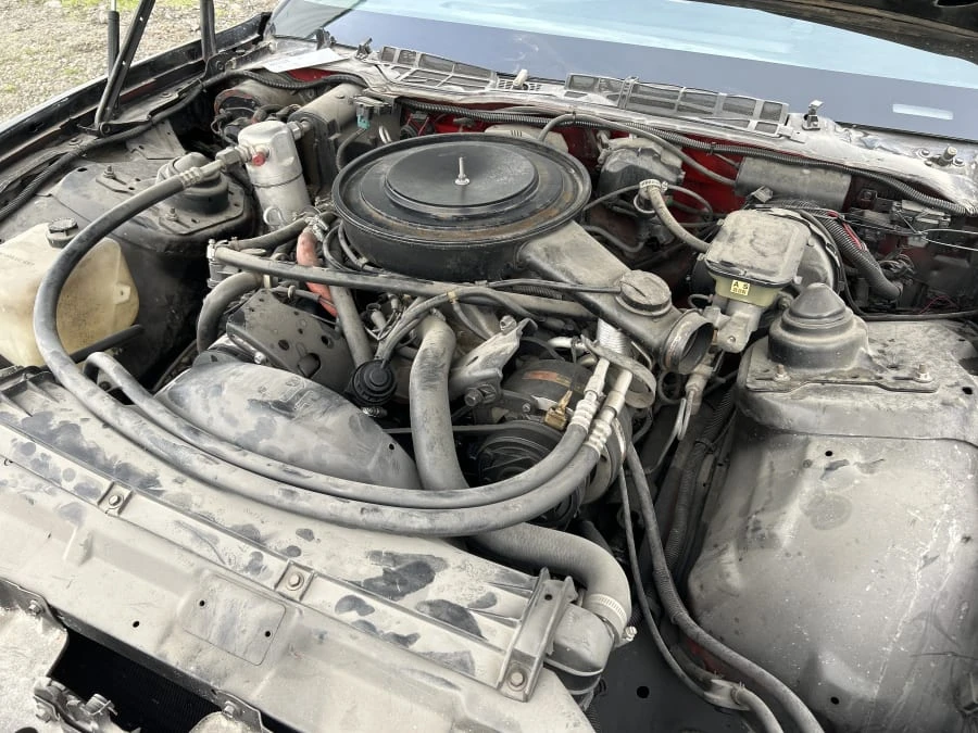 1984 Pontiac Firebird Trans Am 3rd Gen - Image 21 of 21