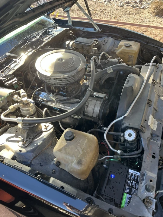 1984 Pontiac Firebird Trans Am 3rd Gen - Image 15 of 21