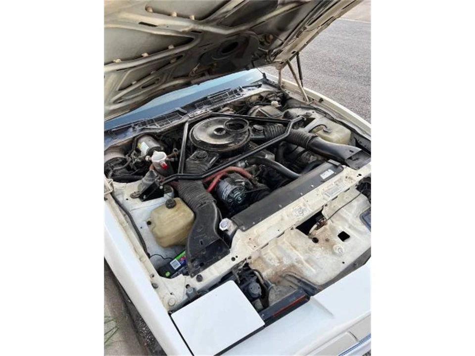 1984 Pontiac Firebird Trans Am 3rd Gen - Image 17 of 17