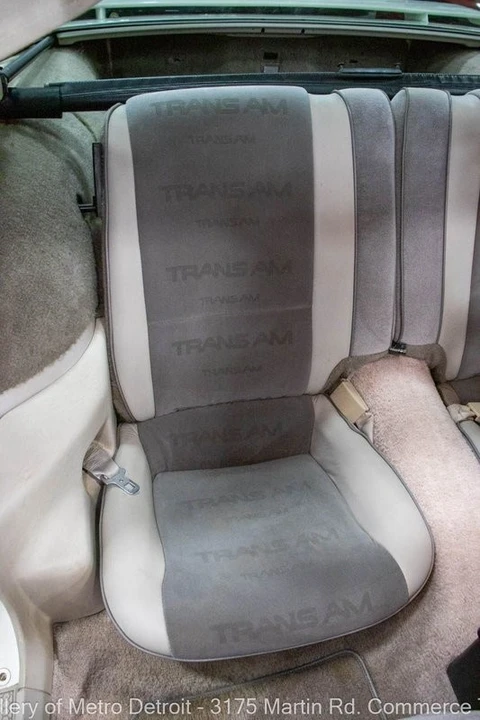 1984 Pontiac Firebird Trans Am 3rd Gen - Image 3 of 10