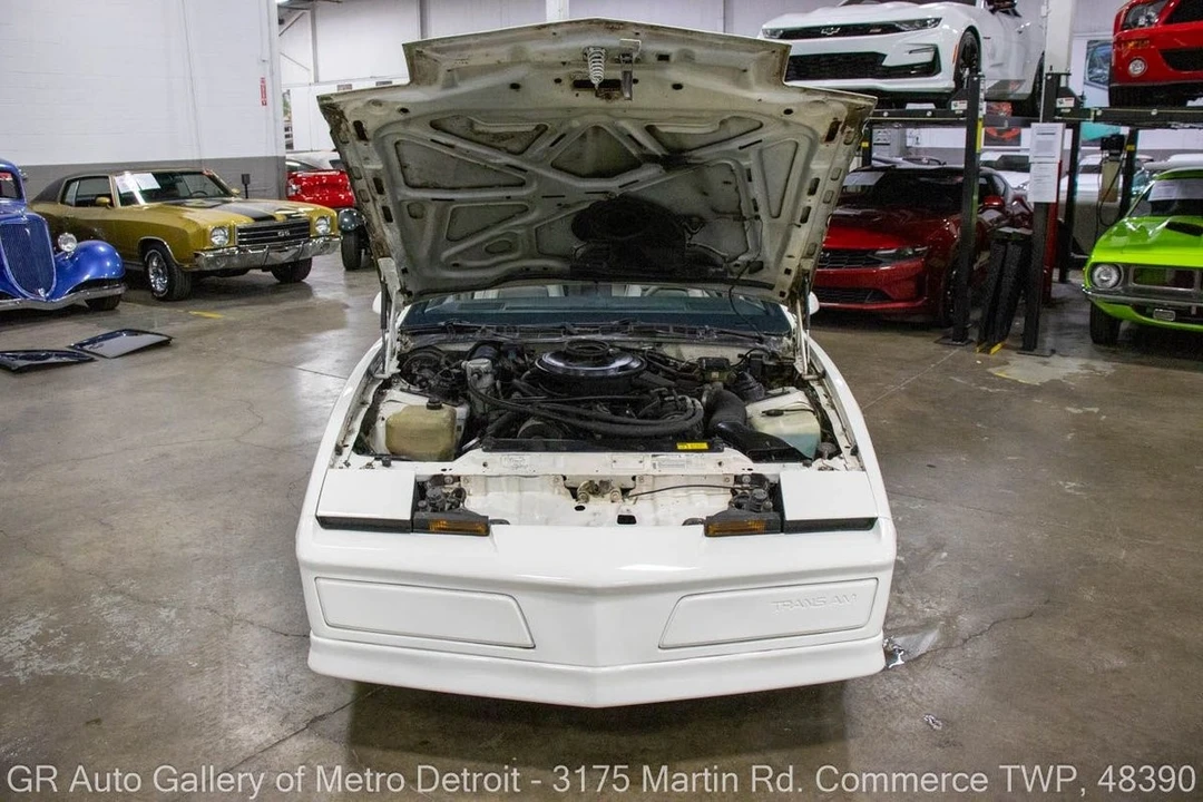 1984 Pontiac Firebird Trans Am 3rd Gen - Image 10 of 10