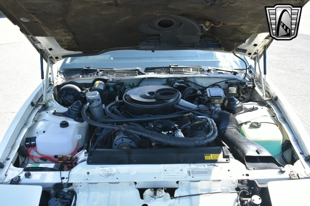 1984 Pontiac Firebird Trans Am 3rd Gen - Image 10 of 12