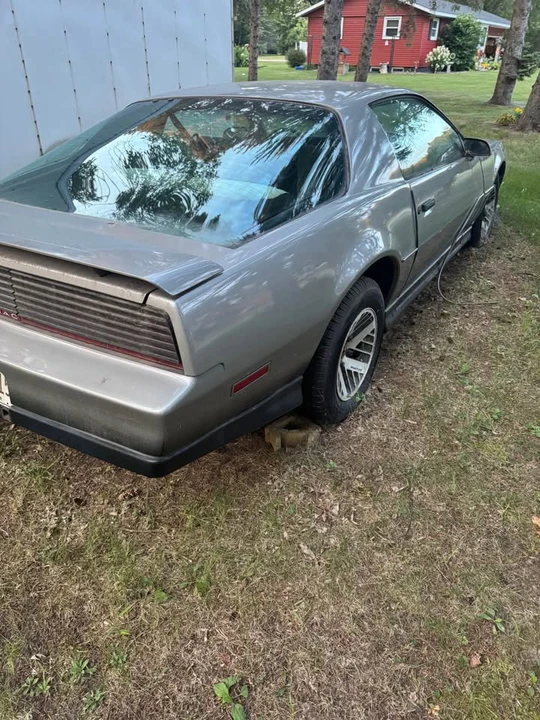1984 Pontiac Firebird Trans Am 3rd Gen - Image 3 of 13