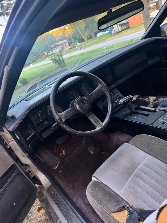 1984 Pontiac Firebird Trans Am 3rd Gen - Image 8 of 13