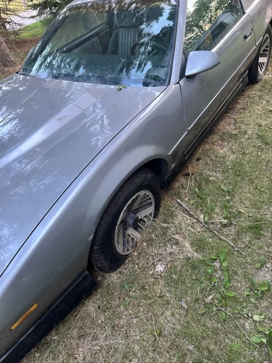 1984 Pontiac Firebird Trans Am 3rd Gen - Image 7 of 13