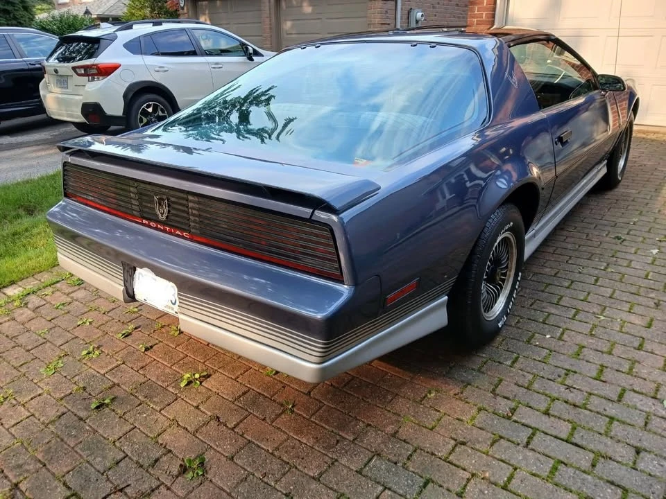 1984 Pontiac Firebird Trans Am 3rd Gen - Image 5 of 19