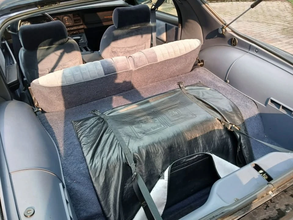 1984 Pontiac Firebird Trans Am 3rd Gen - Image 14 of 19