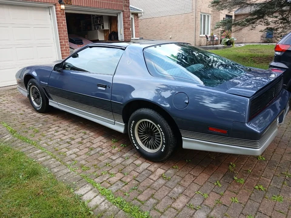 1984 Pontiac Firebird Trans Am 3rd Gen - Image 4 of 19