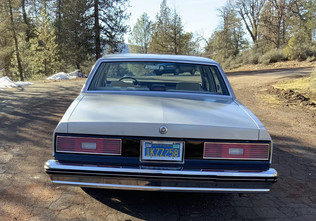 1984 Pontiac Parisienne - Image 27 of 31