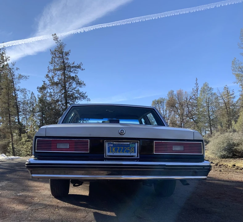 1984 Pontiac Parisienne - Image 26 of 31