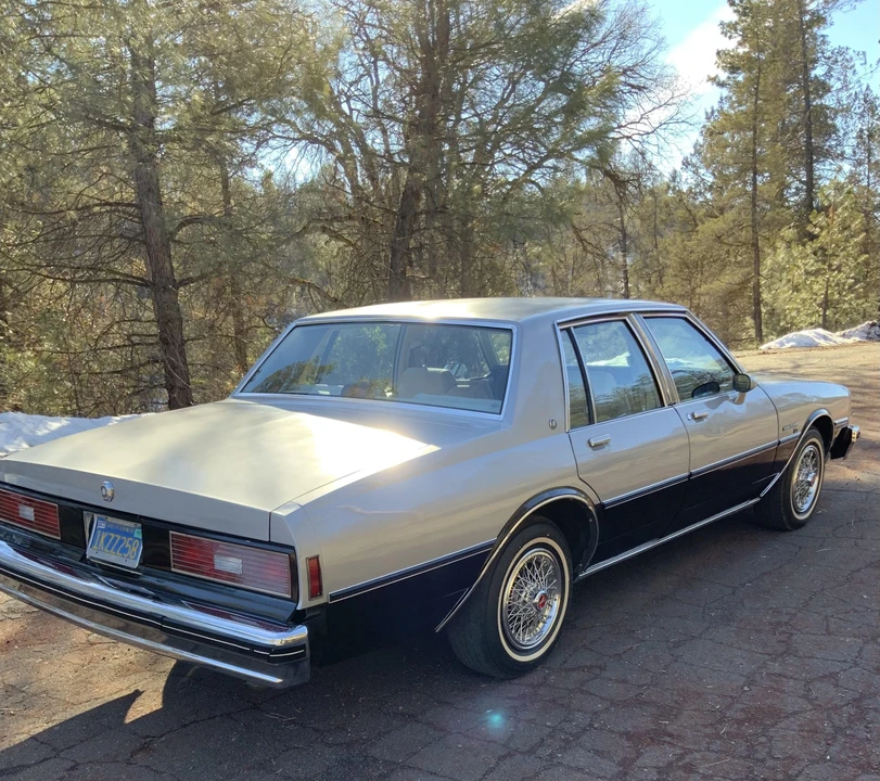 1984 Pontiac Parisienne - Image 21 of 31