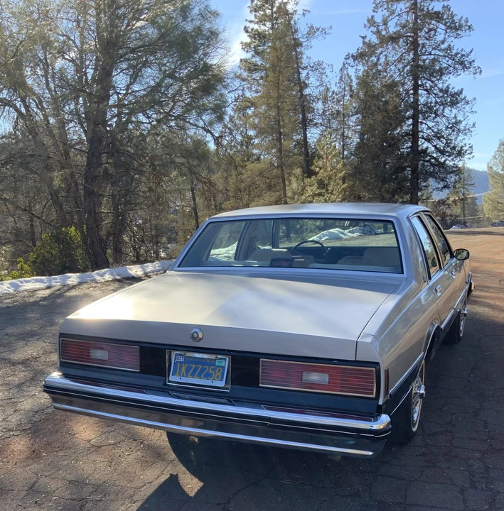 1984 Pontiac Parisienne - Image 24 of 31