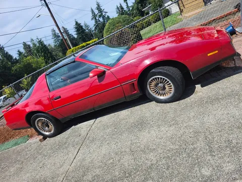1984 Pontiac Trans Am Firebird