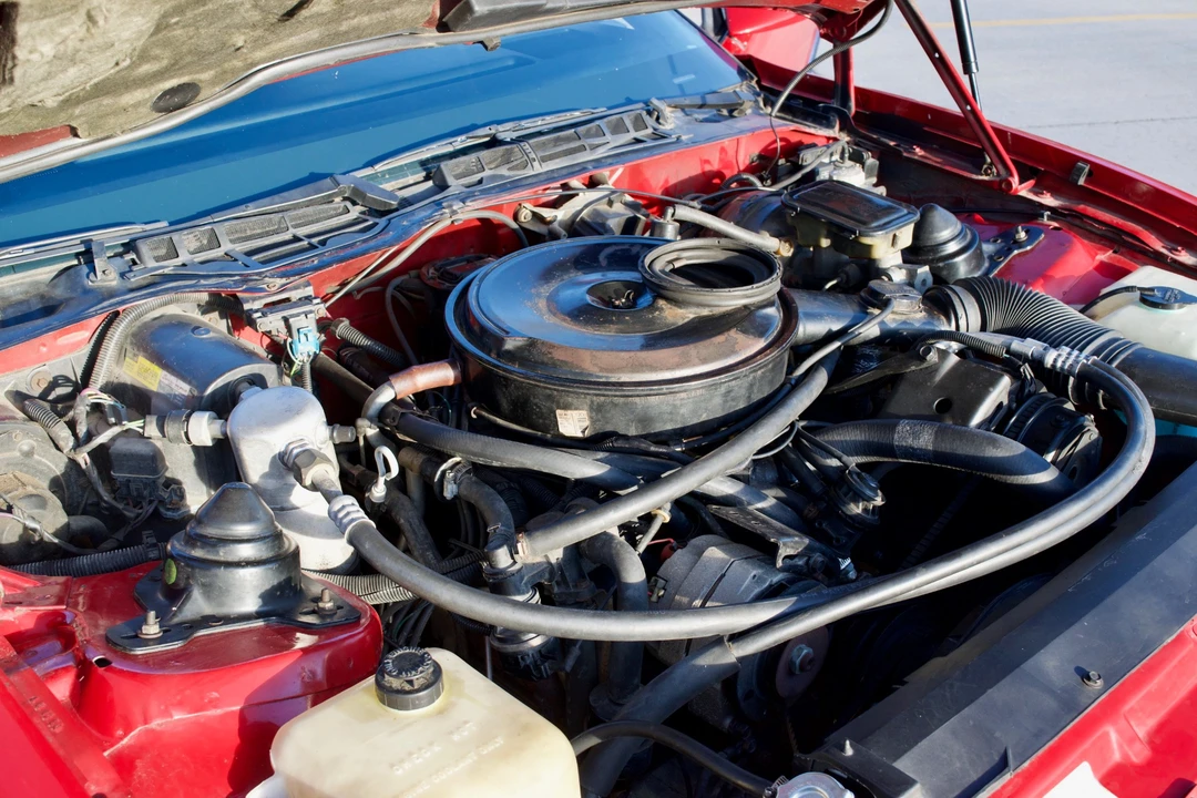 1984 Pontiac Firebird Trans Am 3rd Gen - Image 30 of 31