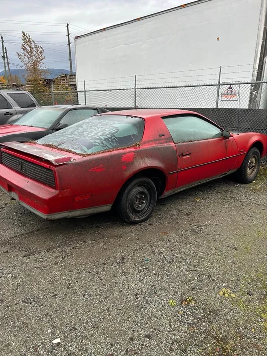 1984 Pontiac Firebird Trans Am 3rd Gen - Image 4 of 9