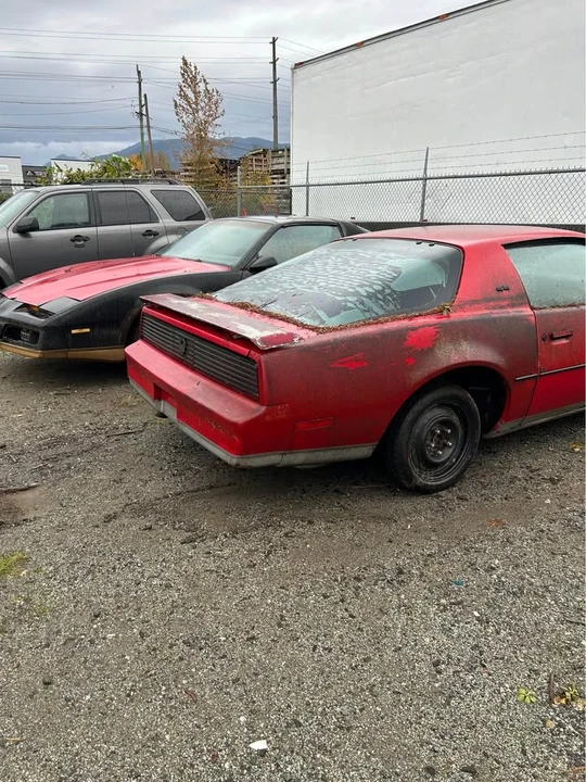 1984 Pontiac Firebird Trans Am 3rd Gen - Image 5 of 9