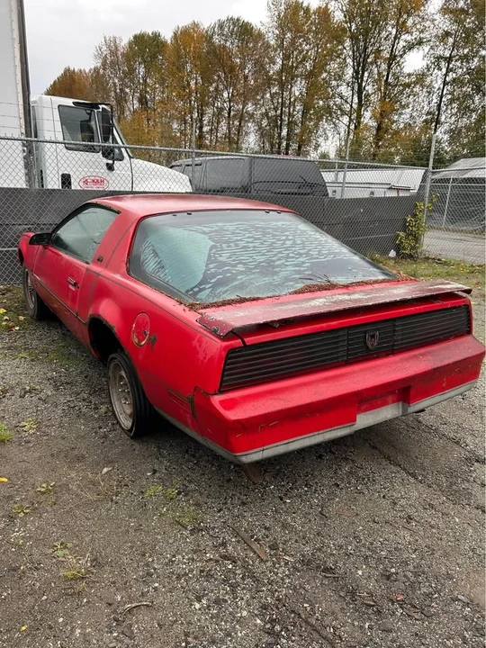 1984 Pontiac Firebird Trans Am 3rd Gen - Image 6 of 9
